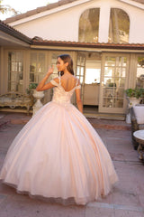 Juliet 1430 Dress Quinceanera Ball Gown Embroidered Applique Glitter Tulle