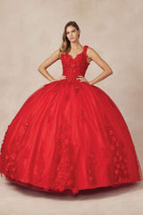 Juliet 1437 Floral Applique Quinceanera Ball Gown With 3D Flowers