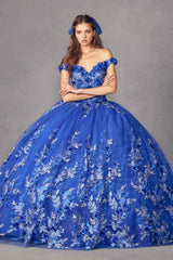 Juliet 1447 Long 3D Floral Appliques Off Shoulder Poofy Ball Gown