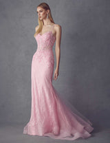 Juliet 250 Embellished Lace Mermaid Dress