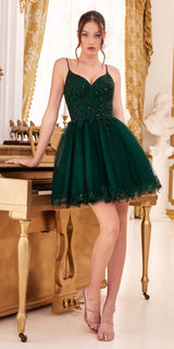 Ladivine CD0213 Short A-Line and Glitter Tulle Dress