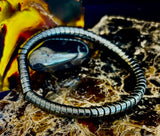 🐍 Snake Bone Style Hematite Bracelet – Bold & Modern Power Piece - treasures-4-u-2-day