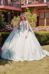 Juliet JT1466H Dress 3D Multi Floral Applique Cape Sleeve Quinceanera Gown