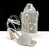 Lastest Italian Design Ladies Shoes with Matching Bag Set HJJ1-23