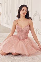 Short A-Line Tulle Dress - treasures-4-u-2-day