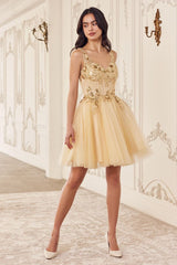 Sequin Beaded A-Line Short Dress - treasures-4-u-2-day