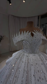 Diamond Luxe Crystal Off-Shoulder Royal Princess Ball Gown GD104