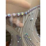 Silver Feathered Hips Nightclub Bar Sleeveless Long Gown