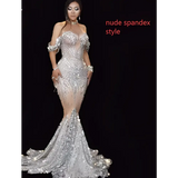 Silver Sequin Stage Nightclub DJ Female Singer Gown