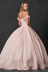 Juliet 1433 Dress Quinceanera Ball Gown 3D Floral Embroidered
