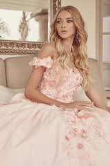 Juliet 1433 Dress Quinceanera Ball Gown 3D Floral Embroidered