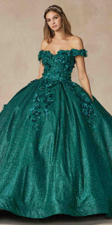 Juliet 1433 Dress Quinceanera Ball Gown 3D Floral Embroidered
