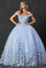 Juliet 1434 Dress Quinceanera Ball Gown 3D Floral Embroidered
