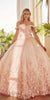Juliet 1434 Dress Quinceanera Ball Gown 3D Floral Embroidered