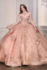 Ladivine 15727 Breathtaking Ball Gown Shimmering Tulle Layers