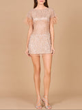 Short Sleeve Cocktail Dress with Feathers