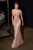 Ladivine CC496 Hollywood Glamour Gown With Modern Couture Edge