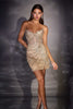 Ladivine CD646 Sculpted Boned Corset Bodice Fitted Mini Dress