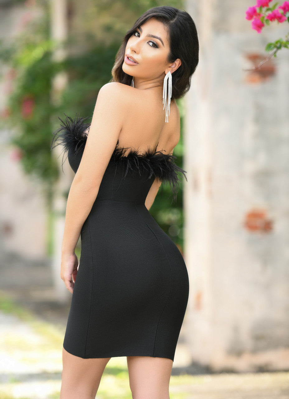 Sochi Feather Cocktail Party Mini Dress (Black Feather)
