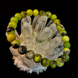 Vital Earth Serpentine Bracelet – 8mm Reiki-Infused Healing & Transformation Gemstone (7.5” Fit)