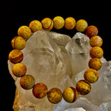 Matte Picture Jasper Power Bracelet – 10mm Grounding & Strength Stone Bracelet