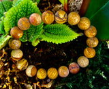 Matte Picture Jasper Power Bracelet – 10mm Grounding & Strength Stone Bracelet