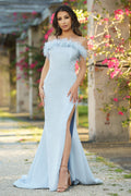 Sochi Feather Trim Off-The-Shoulder Formal Gown (Dusty Blue)
