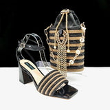 Lastest Italian Design Ladies Shoes with Matching Bag Set  HJJ1-23