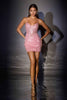 Ladivine CC501 Short Fitted Mini Dress Plunging V-Neckline