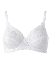  Soft model 232522 Triumph 