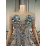 Silver Feathered Hips Nightclub Bar Sleeveless Long Gown
