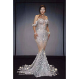 Silver Sequin Stage Nightclub DJ Female Singer Gown