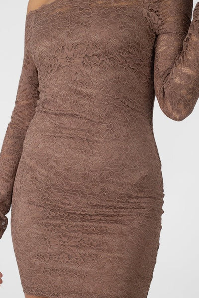 Leona Fiona Nylon Blend Floral Lace Design Bodycon Silhouette Mini Length Long Sleeve Trim Mini Dress (Mocha)