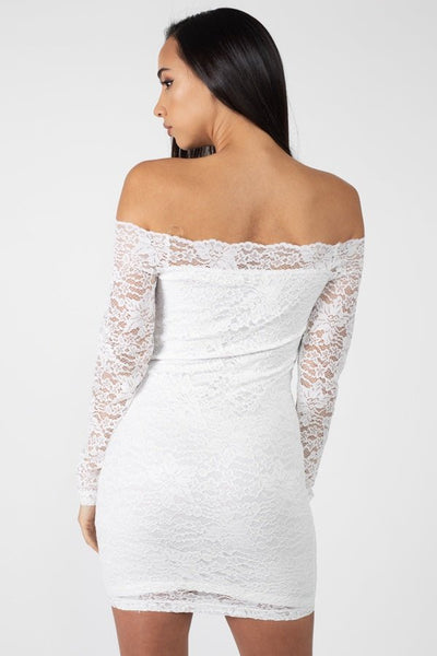 Leona Fiona Nylon Blend Floral Lace Design Bodycon Silhouette Mini Length Long Sleeve Trim Mini Dress (White)