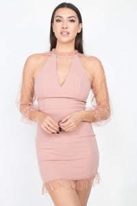 Glenda Glitter Glam Polyester Blend Jewel Pearl Trim Sheer Lace Design Mesh Detail Bodycon Mini Dress (Blush)